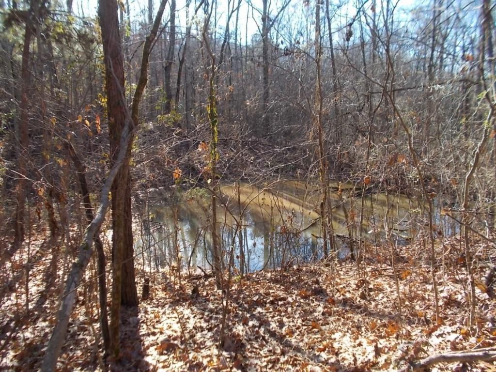 414 Doane Rd, New Market, TN 37820